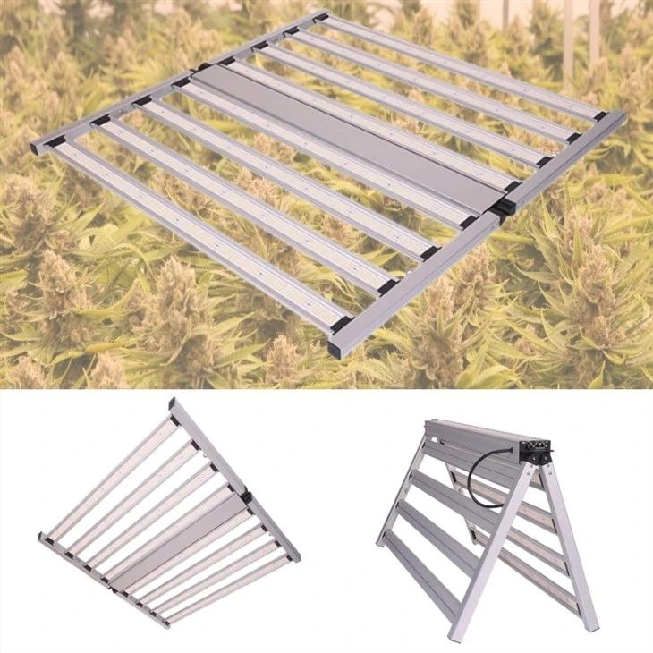 Indoor grow lamp
