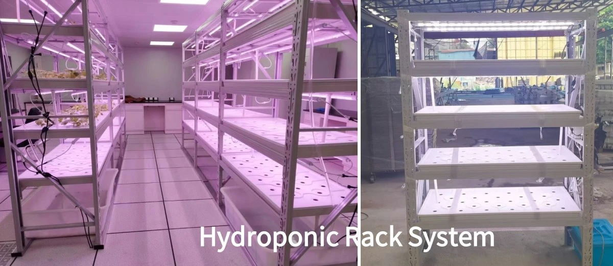 indoor plant growing rack