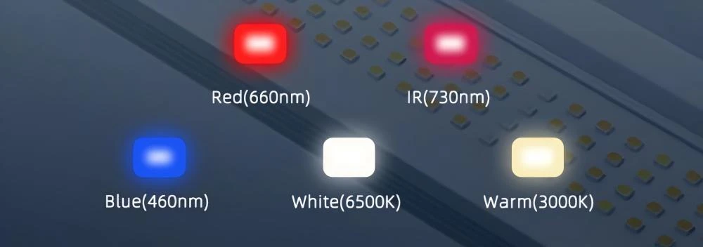 Light Source.jpg