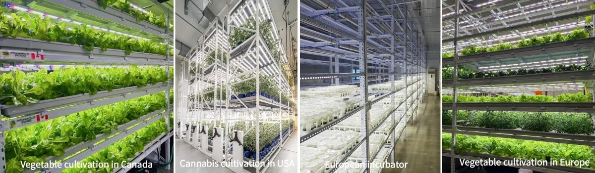 indoor plant growing rack indoor plant growing rack