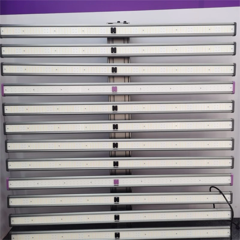 Professional Grow Lights